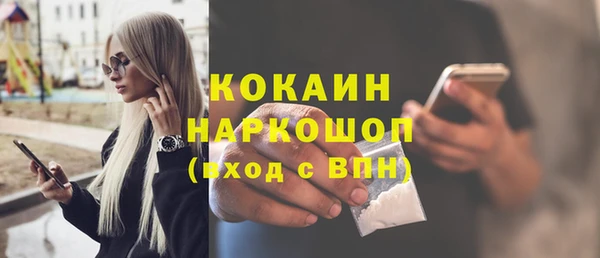 гашик Инсар