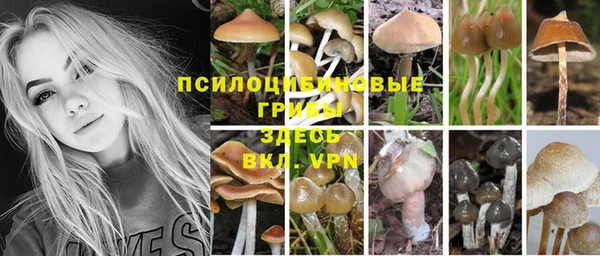 гашик Инсар