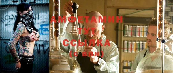 гашик Инсар