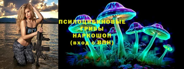 гашик Инсар
