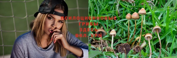 гашик Инсар