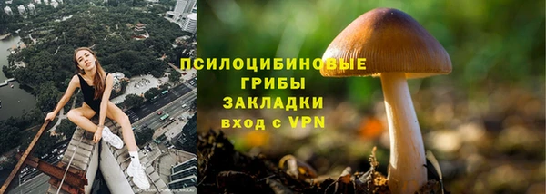 гашик Инсар
