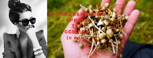 гашик Инсар