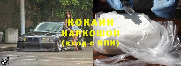 гашик Инсар